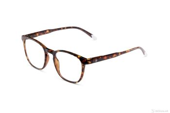 Glasses Barner Dalston Glossy Tortoise w/Blue Light Protection