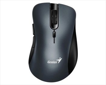 MOUSE WIRELESS USB GENIUS ERGO 8100S Iron Gray