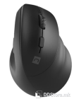 Mouse Natec Wireless Crake 2 2400DPI Bluetooth + 2.4 GHZ Ergonomic