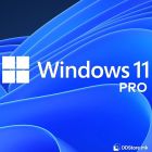 Windows 11 Pro 64-bit OEM DVD