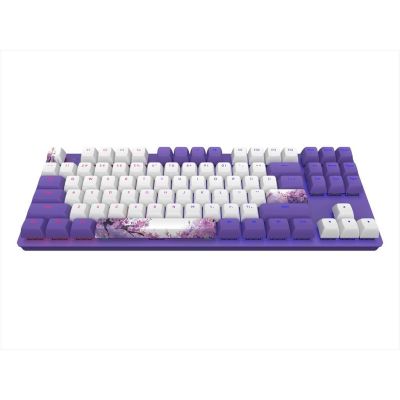 KEYBOARD MECHANICAL DARK PROJECT 87 VIOLET HORIZONS TKL RGB linear G3ms Sapphire switch ANSI layout