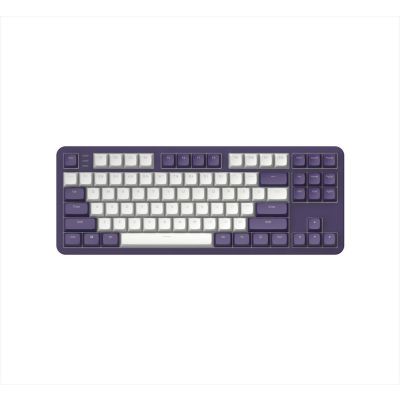 KEYBOARD MECHANICAL DARK PROJECT ALU87A VIOLET TKL RGB linear mechanical switches G3ms Sapphire ANSI layout